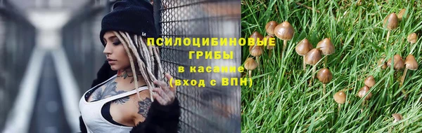 первитин Арсеньев