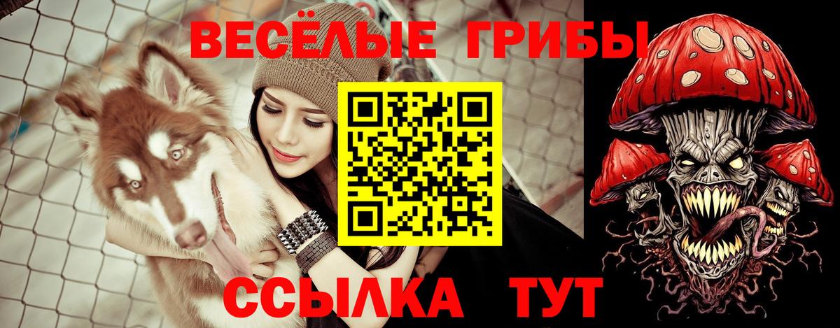 Галлюциногенные грибы Psilocybine cubensis  Вход с VPN  Набережные Челны 