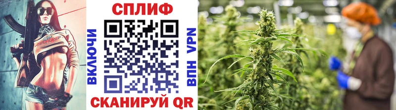 Марихуана OG Kush  darknet Telegram  Набережные Челны 